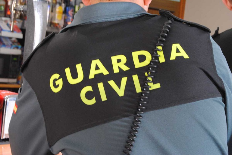 Miguelturra La Guardia Civil investiga a un vecino por el abandono de 31 perros en un vehículo, de los que 23 resultaron fallecidos